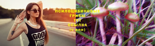 эйфоретик Богородицк
